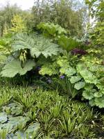 Nicola ALEXANDRE - ADN AGENCEUR DECORATEUR NICOLA