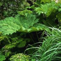 Nicola ALEXANDRE - ADN AGENCEUR DECORATEUR NICOLA